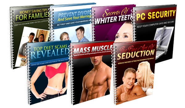 PLR - Niche Domination Series